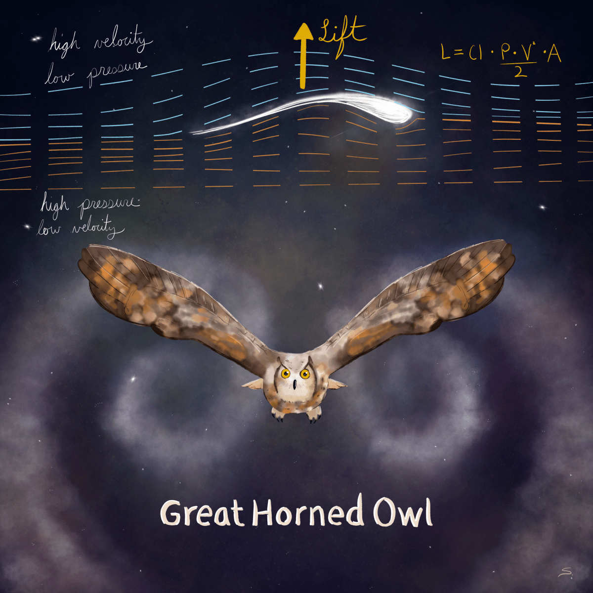 owl flying with vorticies