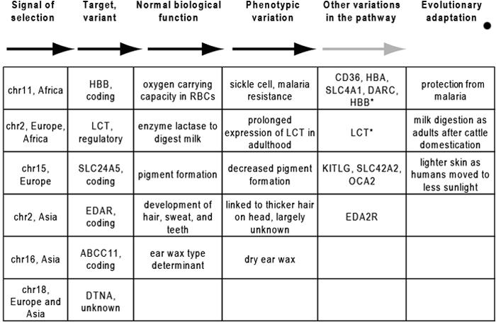 Strategies for Characterizing and Classifying Fitting ⁤Ideals